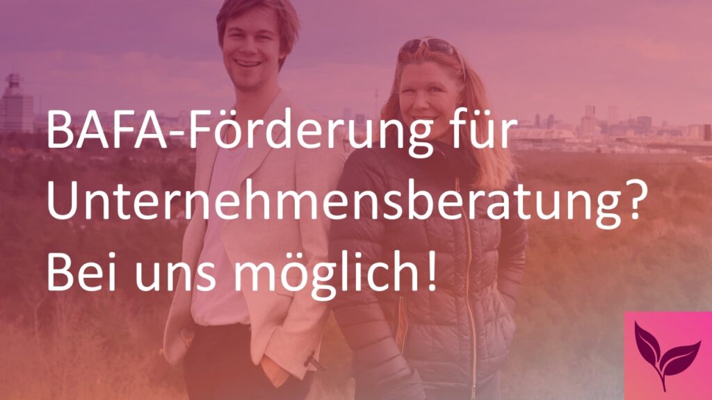 Foerderung fuer Unternehmensberatung NEU